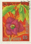 Stamps Equatorial Guinea -  PROTECCION DE LA NATURALEZA 
