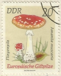 Stamps Germany -  AMANITA MUSCARIA