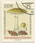 Stamps Germany -  AMANITA PHALLOIDES