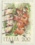 Sellos de Europa - Italia -  GLADIOLO