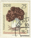 Stamps : Europe : Germany :  GYROMITRARES CULENTA