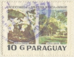 Stamps : America : Paraguay :  CINCUENTENARIO DE LA INMIGRACION JAPONESA AL PARAGUAY