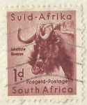Stamps South Africa -  