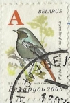 Stamps : Europe : Belarus :  PAJARO