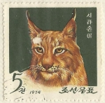 Stamps : Asia : North_Korea :  GATO SALVAJE
