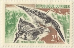 Stamps : Africa : Niger :  CERYLE RUDIS RUDIS