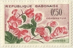 Stamps Africa - Gabon -  COMBRETUM