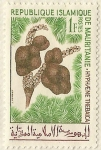 Stamps Mauritania -  HYPHAENE THEBAICA