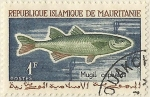 Stamps : Africa : Mauritania :  MUGIL CEPHALIS