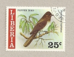 Sellos de Africa - Liberia -  Ave Pycnonotus
