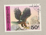 Stamps Liberia -  Ave Haliaeetus