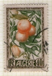 Stamps Algeria -  13  cultivo