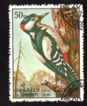 Stamps : Asia : United_Arab_Emirates :  serie- Aves