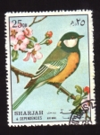 Stamps : Asia : United_Arab_Emirates :  serie- Aves