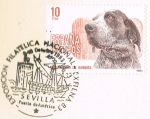 Stamps : Europe : Spain :  PERROS DE RAZA ESPAÑOLA
