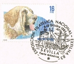 Stamps Spain -  PERROS DE RAZA ESPAÑOLA