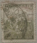 Stamps Hungary -  magyar kir posta 1919