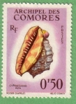 Stamps Africa - Comoros -  Cypraecassis Rufa