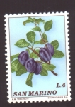 Stamps : Europe : San_Marino :  Ciruelas
