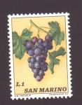 Sellos de Europa - San Marino -  Uvas