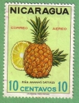Stamps : America : Nicaragua :  Piñas - Ananas Sativus