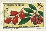 Sellos de Africa - Rep�blica del Congo -  CONNARACEES.  CONNARUS GRIFFONIANUS