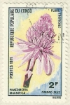 Sellos de Africa - Repblica del Congo -  PHAEDMERIA MAGNIFICA
