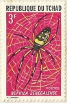 Stamps Chad -  NERHILA SENEGALENSE