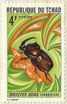 Stamps Chad -  ORYCTES BOAS ( FABRICIUS )