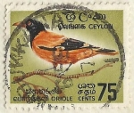 Stamps : Asia : Sri_Lanka :  ORIOLE ENCAPUCHADO (Oriolus xanthornus ceylonensis)
