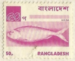Sellos de Asia - Bangladesh -  Hilsa / Ilish Fish (Tenualosa ilisha)