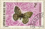 Stamps Burkina Faso -  HAMANUMIDA DAEDALUS