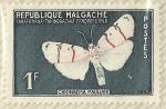 Stamps Madagascar -  CHIONAEMA PAULIANI