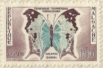 Stamps : Africa : Madagascar :  SALAMIS DUPREI