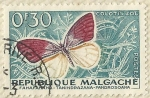 Stamps : Africa : Madagascar :  COLOTIS ZOE