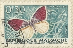 Stamps Madagascar -  COLOTIS ZOE