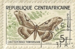 Stamps Africa - Central African Republic -  DACTYLOCERAS WIDENMANNI