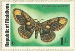 Stamps Maldives -  BRAHMAEA WALLICHII