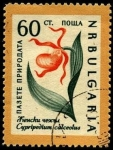 Stamps Bulgaria -  Flores, Cypripedium calceolus.