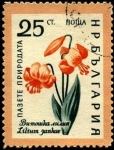 Stamps Bulgaria -  Flores, Lilium jankae.