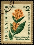 Sellos de Europa - Bulgaria -  Flores, gentiana lutea.