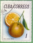 Stamps Cuba -  Citrus Sinensis Osbeck