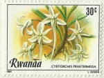 Stamps : Africa : Rwanda :  CYRTORCHIS PRAETERMISSA