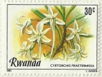 Stamps Rwanda -  CYRTORCHIS PRAETERMISSA