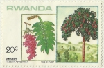 Stamps : Africa : Rwanda :  UMUGESHI HAGENIA ABYSSINICA