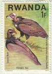 Stamps : Africa : Rwanda :  RAPACES AFRICANAS - BUITRE MONJE