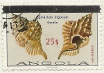 Stamps : Africa : Angola :  CYMATIUM TRIGONUM GMELIN