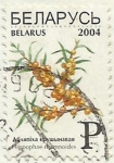Stamps : Europe : Belarus :  ESPINO CERVAL DE MAR