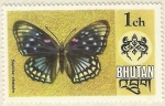 Stamps Asia - Bhutan -  MARIPOSA ( SEPHISA CHANDRA )