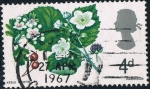 Stamps United Kingdom -  ISABEL II Y FLORES DIVERSAS. ESPINO BLANCO Y MORA SILVESTRE. Y&T Nº 465